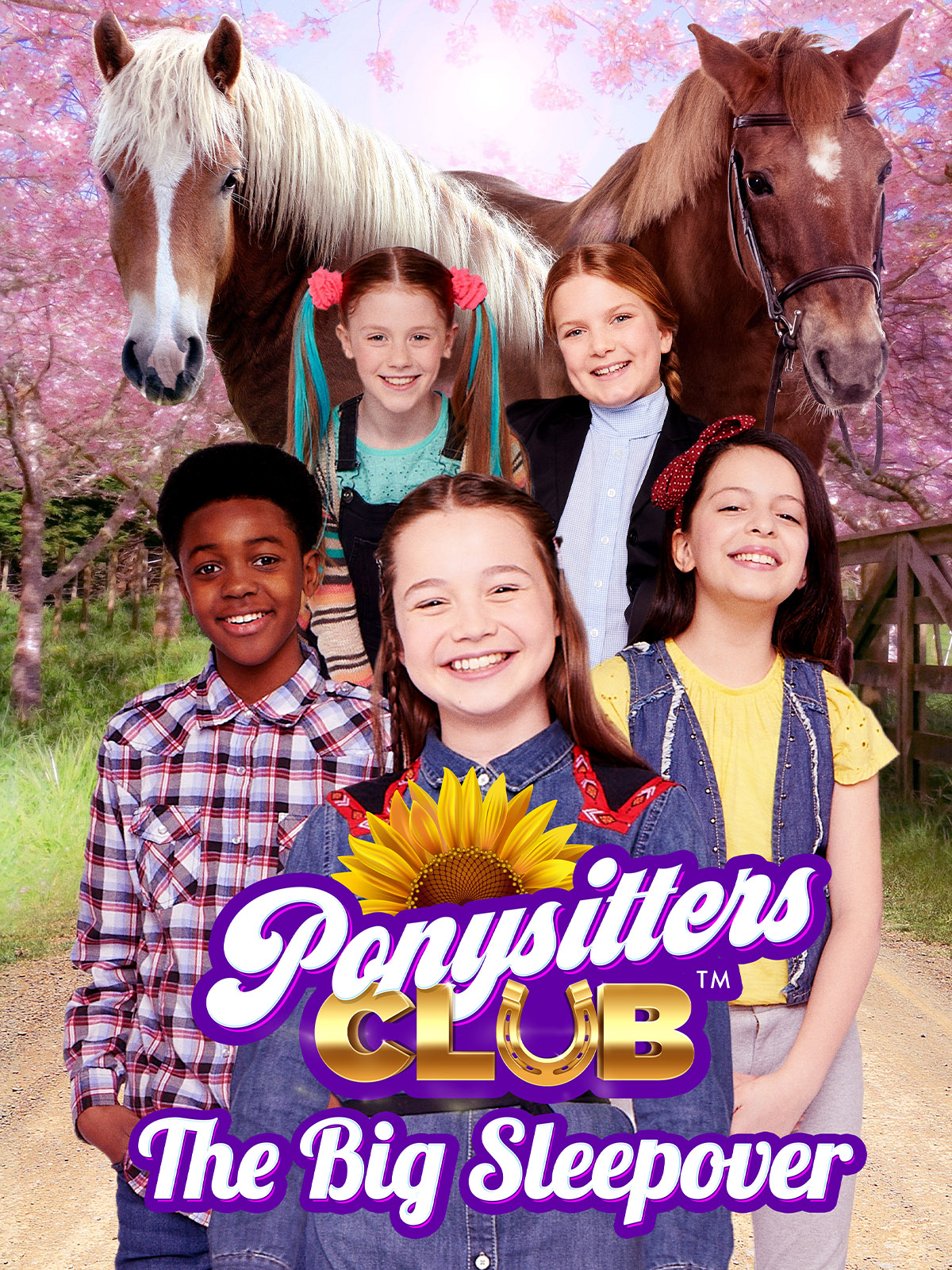 Ponysitters Club: The Big Sleepover (2020)