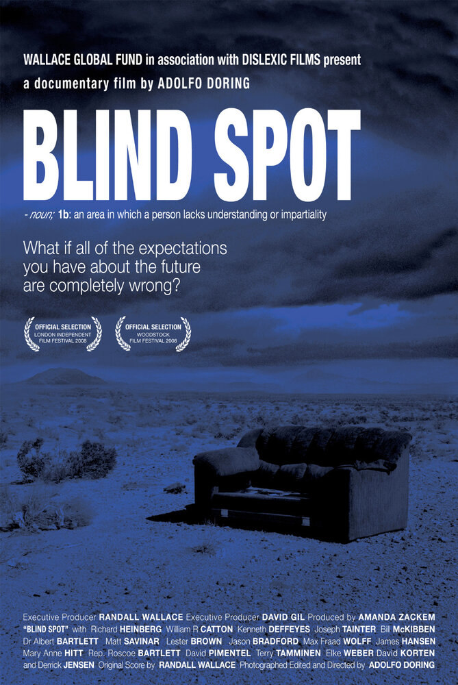 Blind Spot (2008)