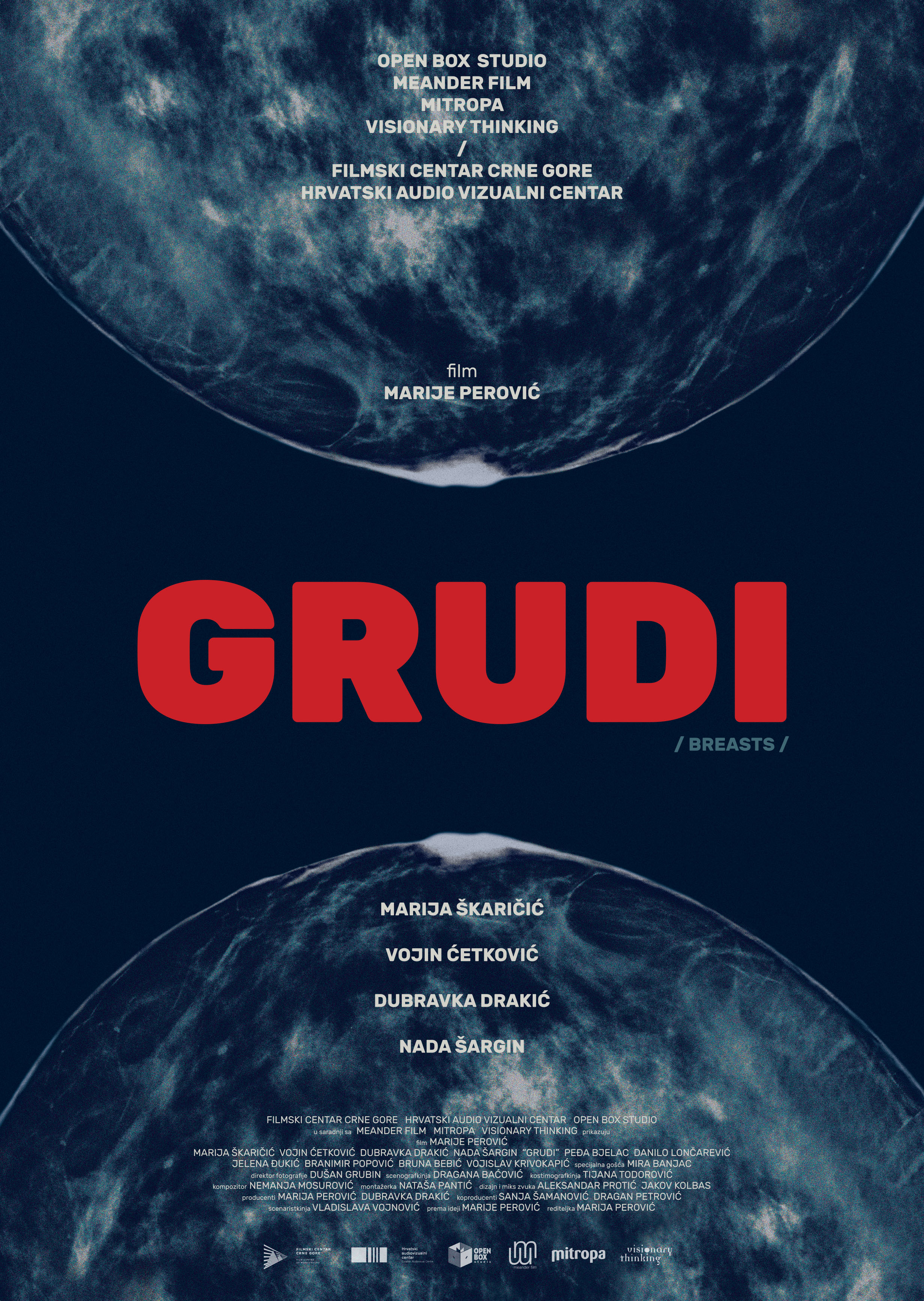Grudi (2020)