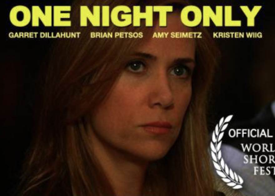 Только на одну ночь (2009)