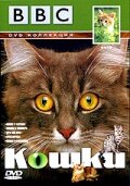 BBC: Кошки (1991)