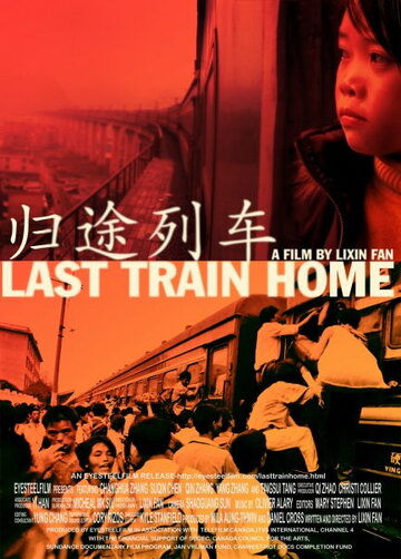 Последний поезд домой (2009)