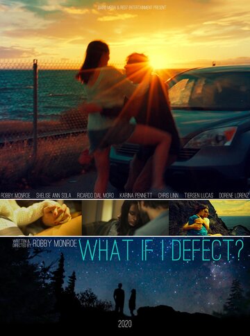 What if I Defect? (2020)