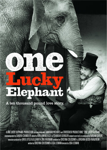 Счастливая слониха (2010)