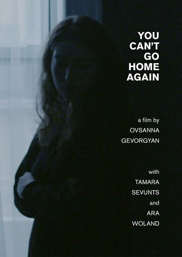 You Can't Go Home Again (2017)