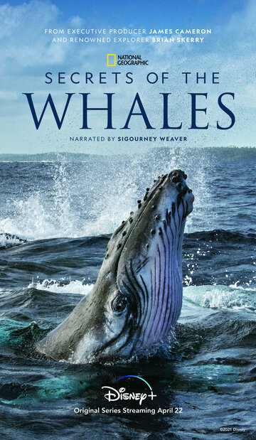 Тайны китов (2021)
