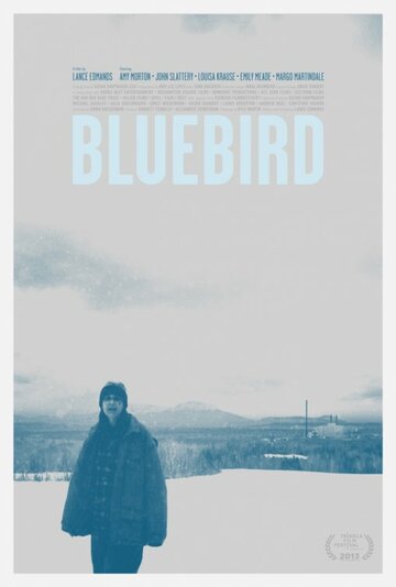 Синяя птица (2013)
