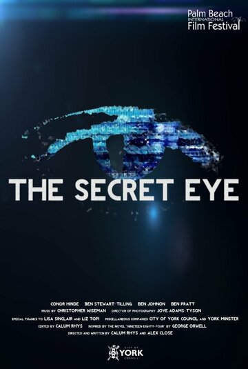 The Secret Eye (2013)