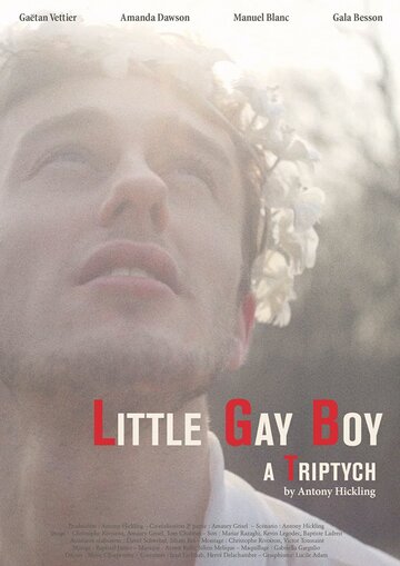 Маленький мальчик-гей (2013)